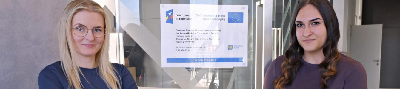 Professional internship in our company