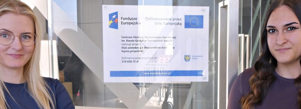 Professional internship in our company